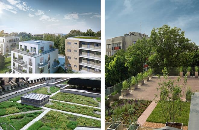 Waterproofing solution beneath an extensive green roof