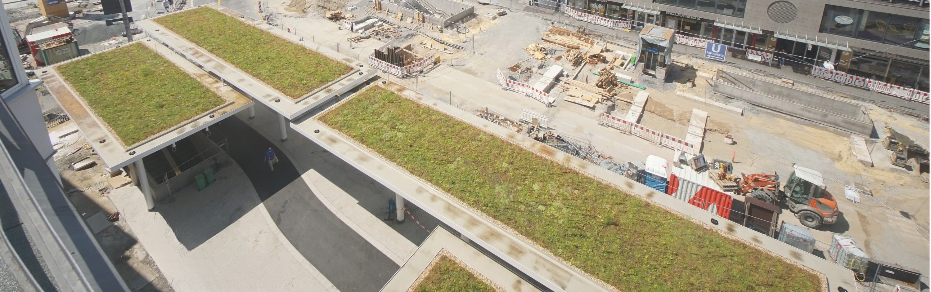 Green roof on the newly constructed canopy at Jahnplatz in Bielefeld