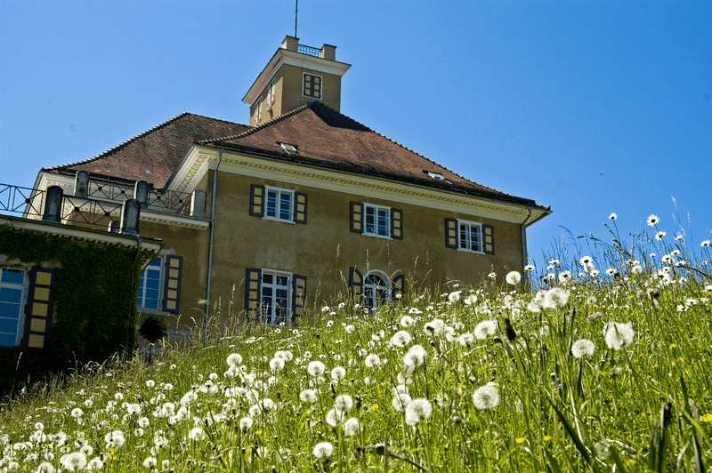 Historisches Schlossgebäude mit barocker Gartenanlage, im Vordergrund eine grüne Wiese mit weißen Gänseblümchen – denkmalgeschützte Architektur in Deutschland.