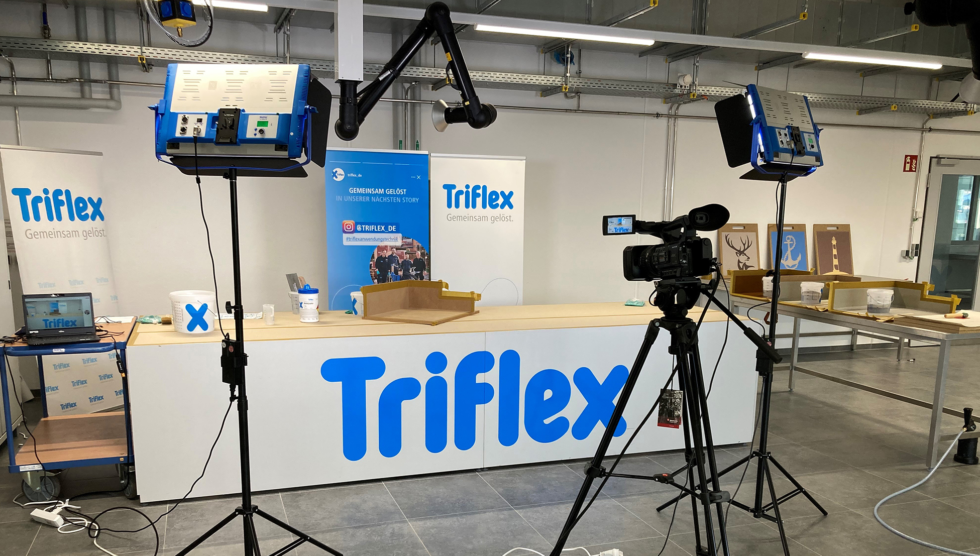 Triflex Webseminare